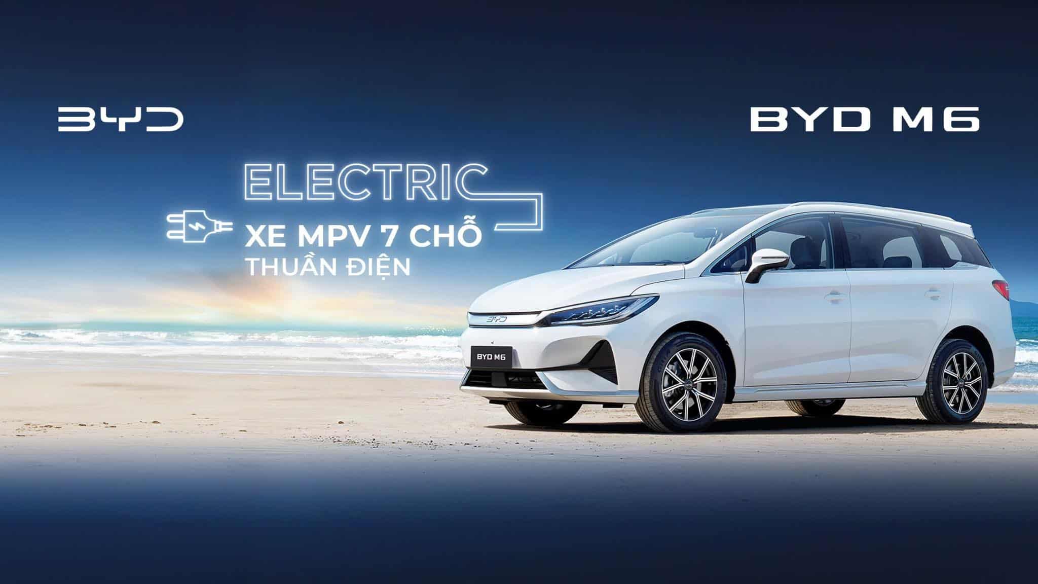 byd m6