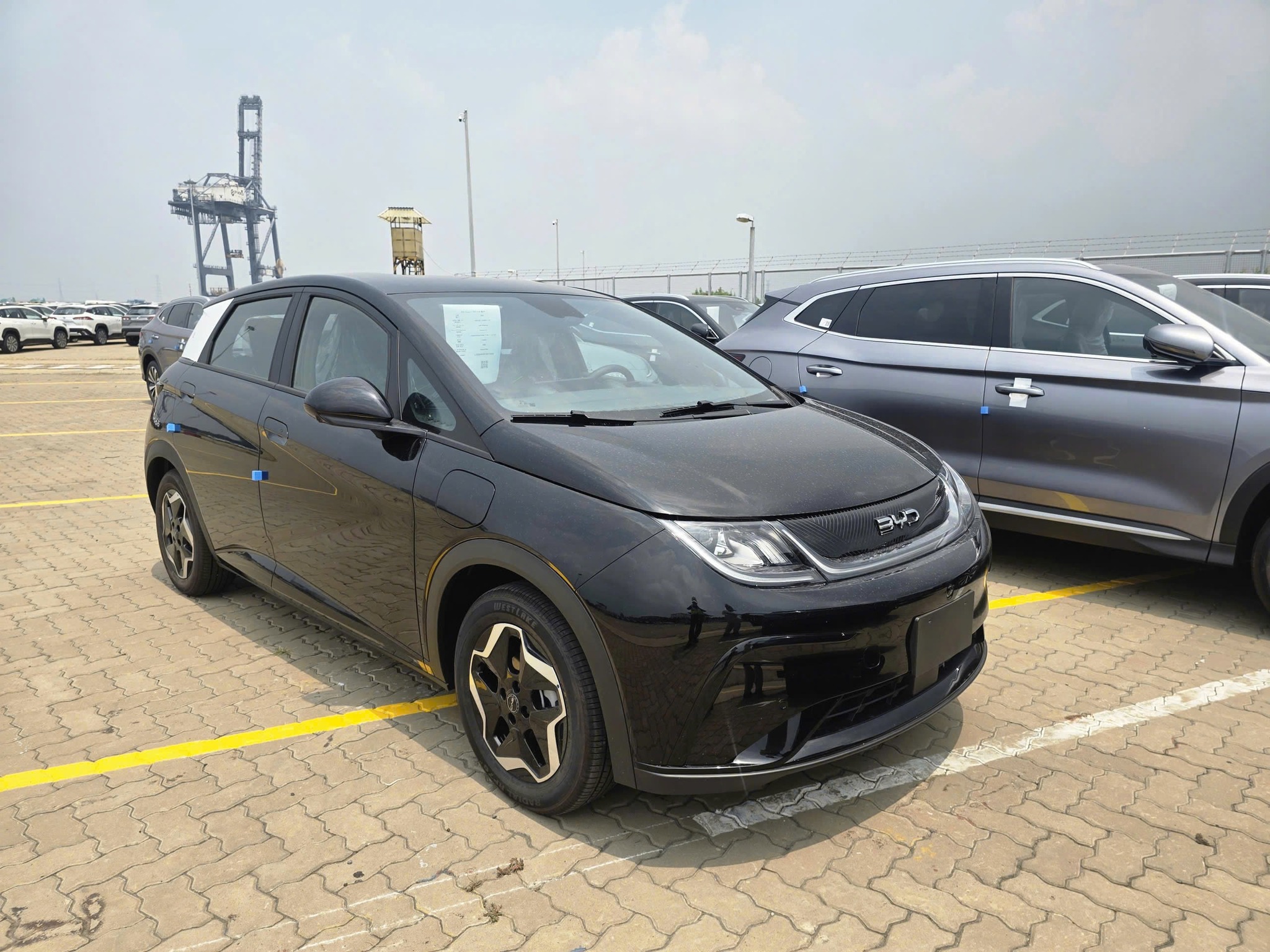 BYD Dolphin 2026 nhập khẩu Thái Lan