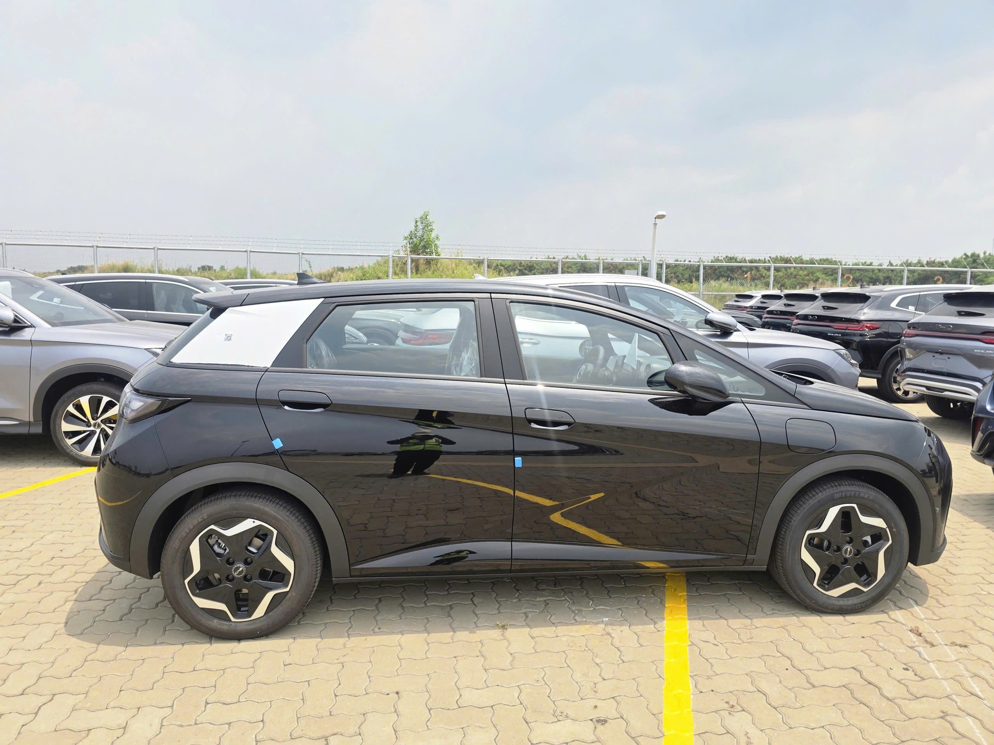 BYD Dolphin 2026 nhập khẩu Thái Lan